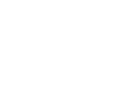 Lucid People Logo White